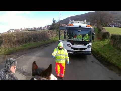 Trash man helping horse and rider goes viral