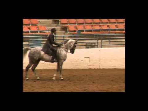 Region 16 Arabian Horse Show