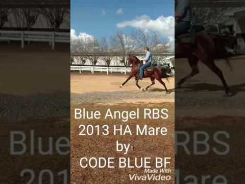 Code Blue BF