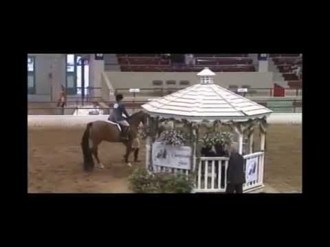 Region 16 Arabian Horse Show