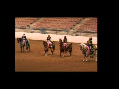 Region 16 Arabian Horse Show