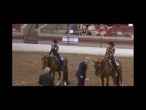 Region 16 Arabian Horse Show