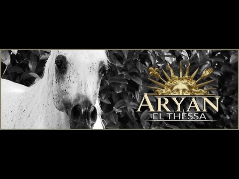MF Aryan El Thessa
