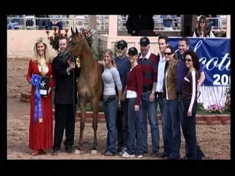 Stival - Born to impress (at 2 years old) 