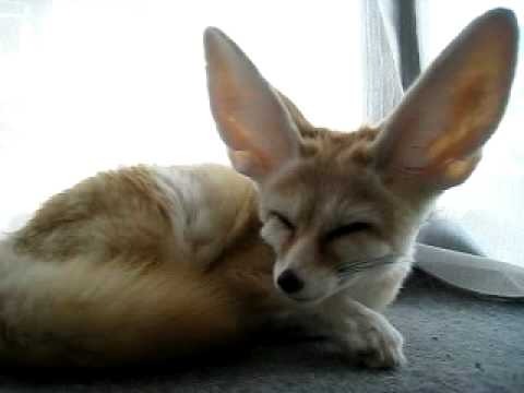 Hey...did you hear that???