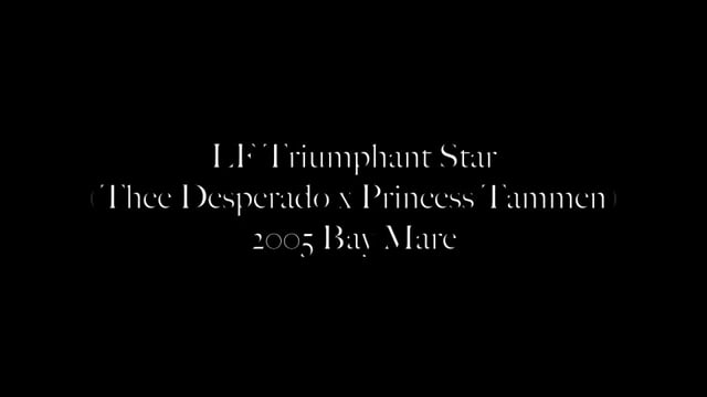 LF TRIUMPHANT STAR