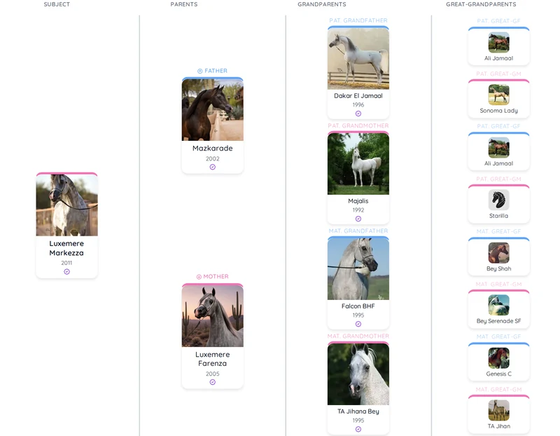 Example pedigree chart showing a multi-generational family tree