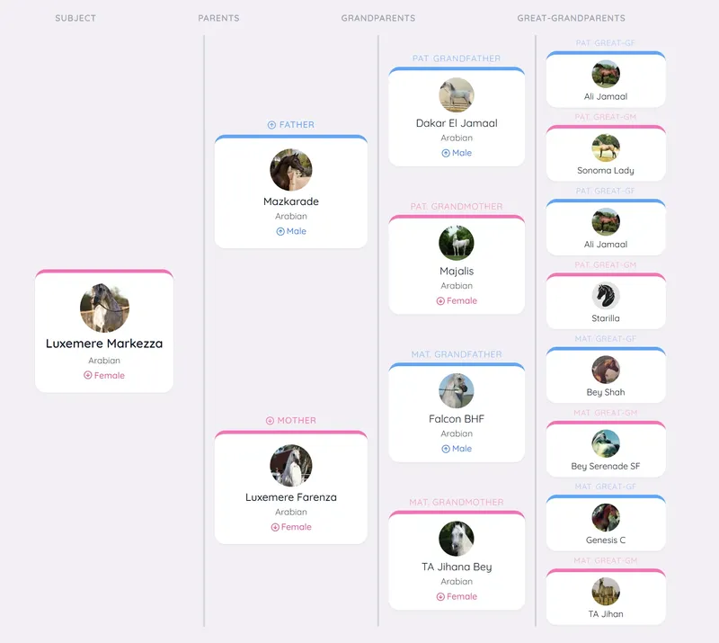 Example pedigree chart showing multi-generational family tree
